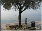 foto Lazise